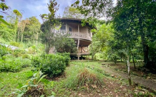 Ecolodge with Medicinal Gardens