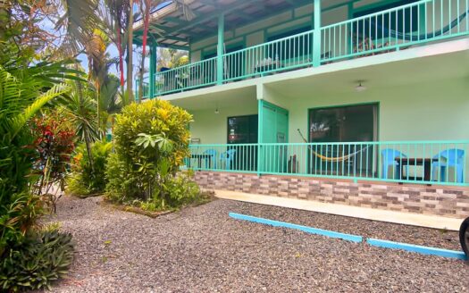 Pura Vida Palms