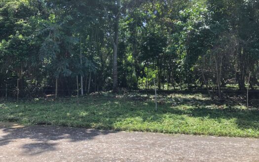 Caribbean Dream Lot – Cahuita