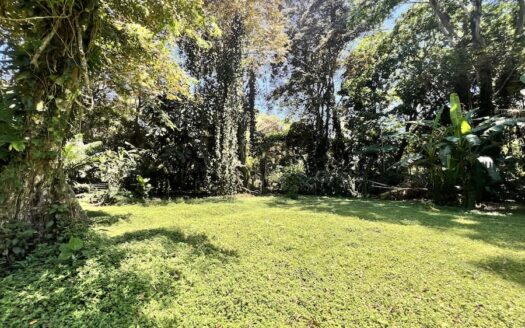 Paradise Found: Build Your Dream in Cahuita!