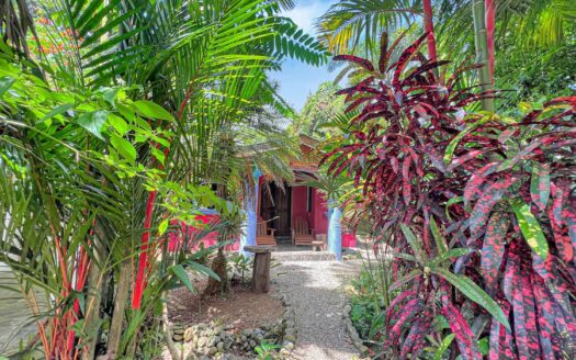 Pura Vida Retreat