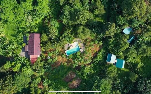 Aluna Java – Organic Farm in BriBri