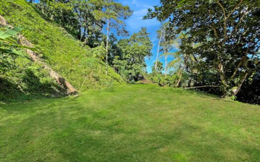 Pura Vida Point